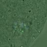 Thumbnail for FigureS4_kinetochore_CENPE_20170309_EFcon