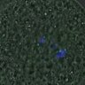 Thumbnail for dataset FigureS4_kinetochore_Hec1_20161031_half1
