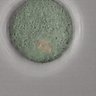 Thumbnail for dataset FigureS5_2015_7_6