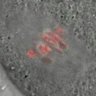 Thumbnail for dataset FigureS6C_2014_6_27