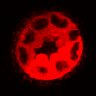 Thumbnail for dataset Figure3C_20200711_4493NES_2nd_2P