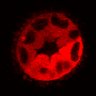 Thumbnail for dataset Figure3C_20200711_4493NES_2nd_post_handBL