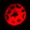 Thumbnail for dataset Figure3C_20200711_4493NES_2nd_pre