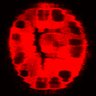Thumbnail for dataset Figure3C_20200715_4493NES_1st_2P