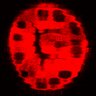 Thumbnail for dataset Figure3C_20200715_4493NES_1st_post_handBL