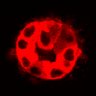 Thumbnail for dataset Figure3C_20200717_4493NES_1st3cells_2P