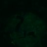 Thumbnail for dataset Fig3B_BlvraKO_Pancreas_mouse3_1