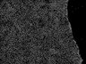 Thumbnail for dataset Figure1B