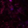 Thumbnail for dataset Fig4C_N2_BVRAKO3