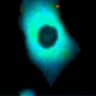Thumbnail for dataset Fig1B_No5_beforeFSK