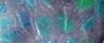 Thumbnail for Figure4A_merge