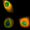 Thumbnail for dataset Fig1B_No14_afterFSK