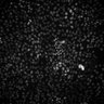 Thumbnail for Figure5A