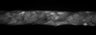 Thumbnail for dataset Figure6B_mCherry_ERK