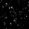 Thumbnail for Figure6B_bPAC_44934589_thumb_w3mKate2-FRET_s2