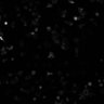 Thumbnail for dataset Figure6B_bPAC_44934589_w2mKO2_s1