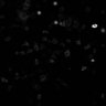 Thumbnail for dataset Figure6B_bPAC_44934589_w2mKO2_s3