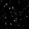 Thumbnail for Figure6B_bPAC_44934589_w3mKate2-FRET_s2