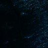 Thumbnail for Figure7E_Crypt_dbcAMP