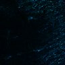 Thumbnail for dataset Figure7E_Crypt_dbcAMP_01