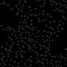 Thumbnail for FigureS1A_DMSO