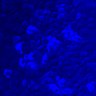 Thumbnail for dataset FigureS5_3560NES_ERK