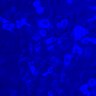 Thumbnail for dataset FigureS5_4146NES_ROCK