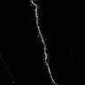 Thumbnail for dataset Fig2a_WT_180221_area5