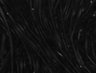 Thumbnail for dataset FigS2A_2Hz_Ca2_signals_0min