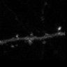Thumbnail for dataset Fig3F_resistance_cofilin