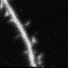 Thumbnail for dataset Fig5A_CaMK_EGFP_C2