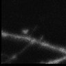 Thumbnail for dataset Fig5A_Tiam_sh-ADF_EGFP_C1