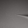 Thumbnail for dataset Fig7a_SMovie4_timelapse_wt_170921