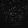 Thumbnail for dataset Fig1D_BV_500uM