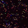 Thumbnail for dataset FigS5D_oscillatory_day4