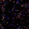 Thumbnail for dataset FigS5D_oscillatory_day7
