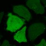 Thumbnail for dataset FigS1B