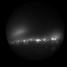 Thumbnail for dataset Figure1M_Ascl1-svz