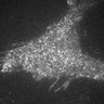 Thumbnail for dataset 2B-2Y2016M5D23h10m7s37AD_CAM1