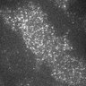Thumbnail for dataset 5F-2Y2016M5D23h19m12s54AD_CAM1