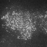 Thumbnail for dataset 7F-2Y2016M5D23h19m40s45AD_CAM1