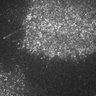 Thumbnail for dataset 8F-2Y2016M5D23h19m53s44AD_CAM1