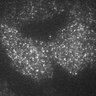 Thumbnail for dataset 8G-2Y2016M5D23h21m31s51AD_CAM1