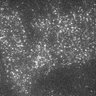 Thumbnail for dataset 9B-2Y2016M5D23h11m32s14AD_CAM1