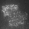 Thumbnail for dataset 9F-2Y2016M5D23h20m8s45AD_CAM1
