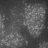 Thumbnail for dataset 9G-2Y2016M5D23h21m16s50AD_CAM1
