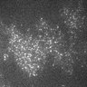 Thumbnail for dataset 10G-2Y2016M5D23h21m3s18AD_CAM1