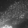 Thumbnail for dataset 11B-2Y2016M5D23h11m56s26AD_CAM1