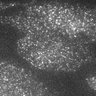 Thumbnail for dataset 11D-2Y2016M5D23h16m9s5AD_CAM1