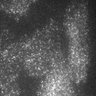 Thumbnail for dataset 11E-2Y2016M5D23h16m21s30AD_CAM1